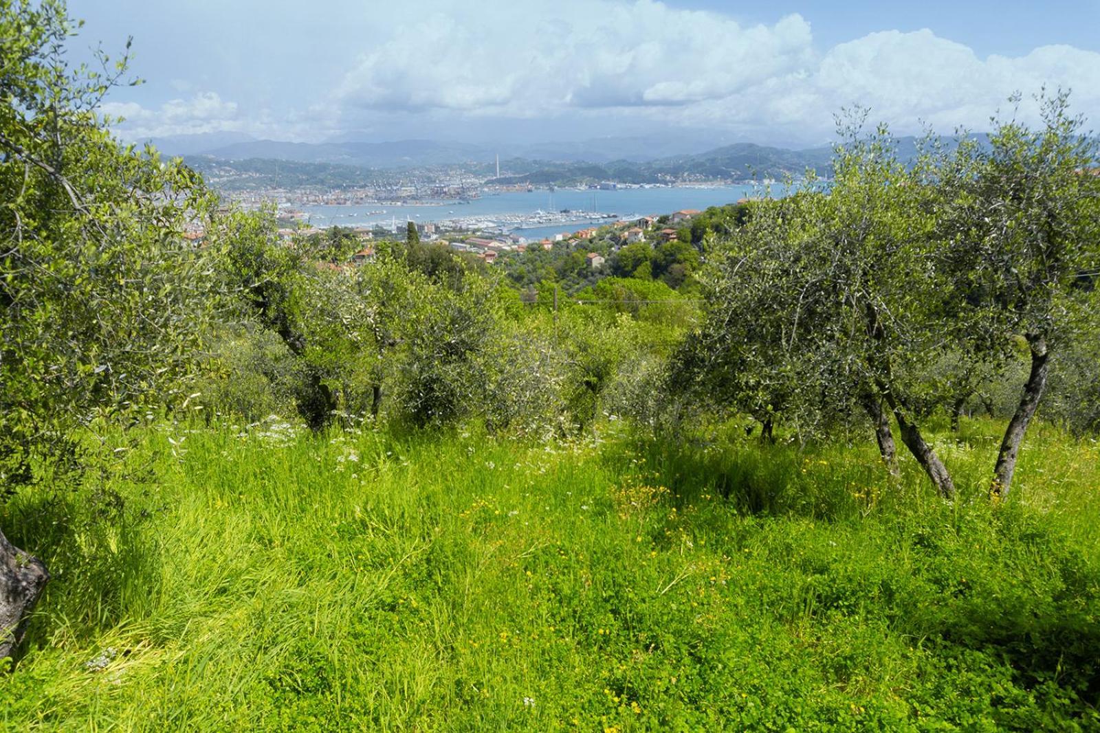 Gli Ulivi Sul Golfo E Le 5 Terre Apartment La Spezia Exterior photo